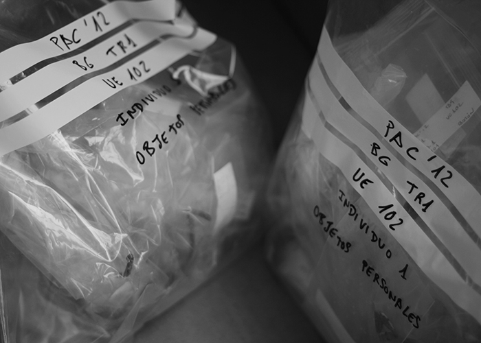 bags-700px.jpg