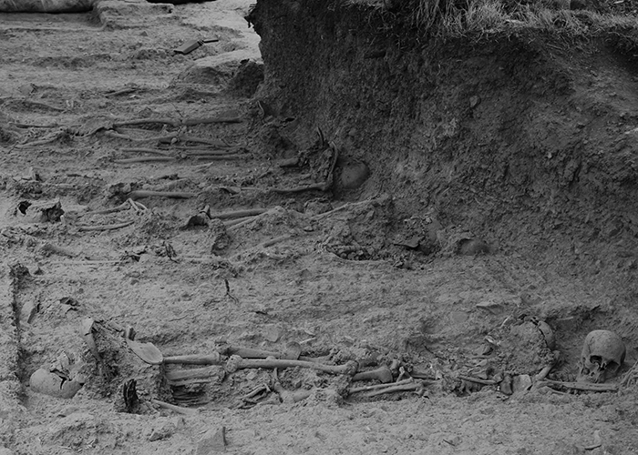 bodies-700px.jpg