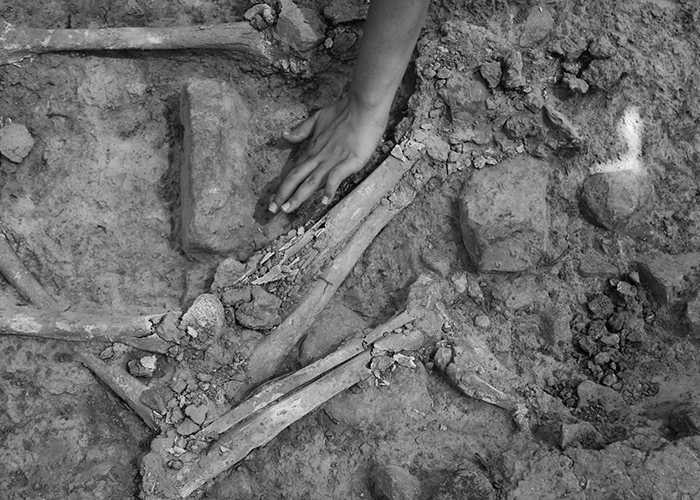 hand-and-bones-700px.jpg