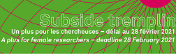 62._SubsideTremplin-252x78px.png